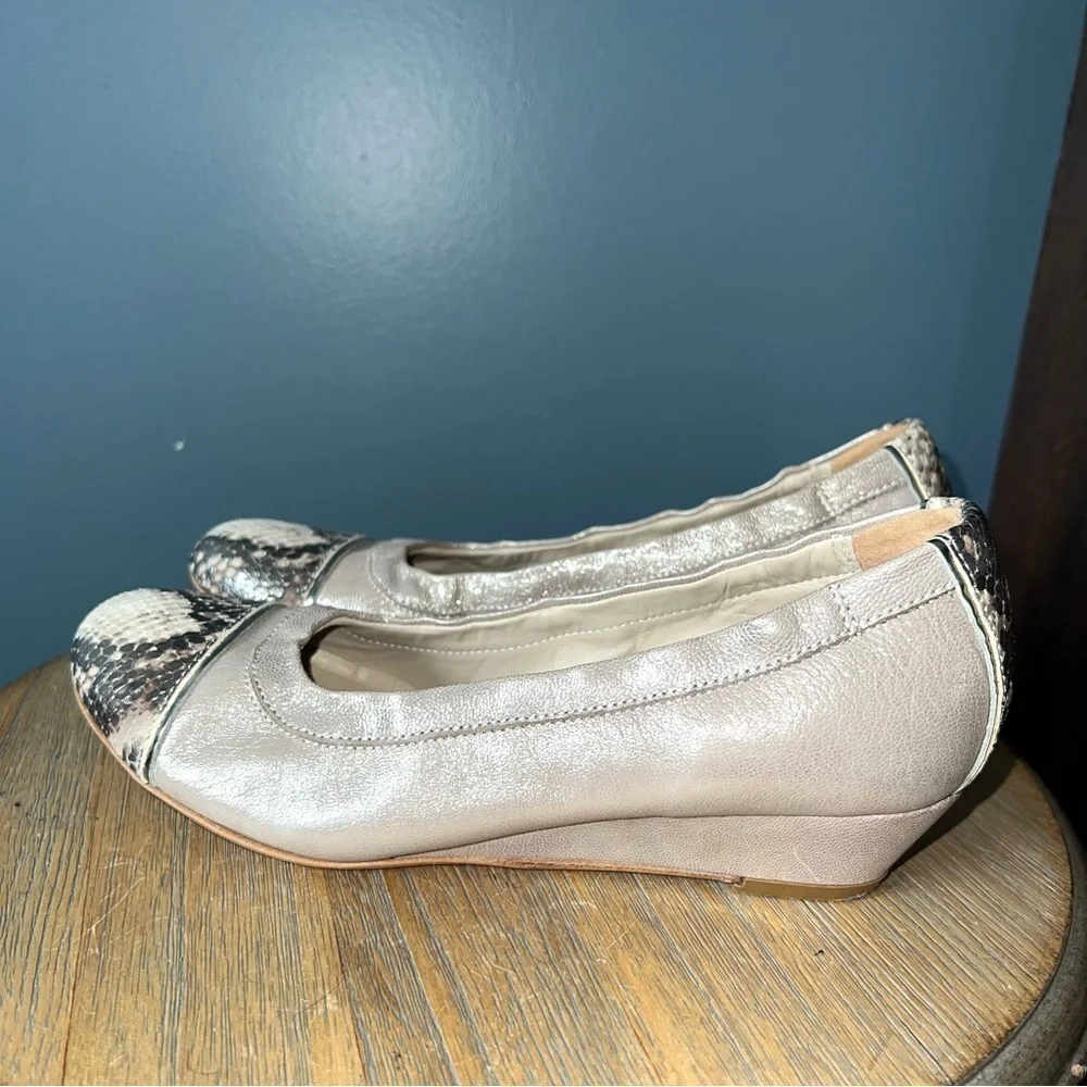 AGL Attilio Giusti Leombruni Wedge Pump